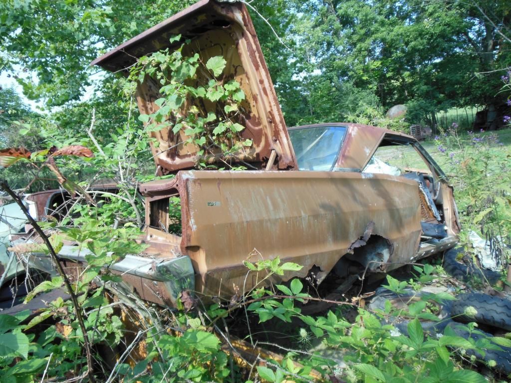 Stark wrecking yard, Dayton OH